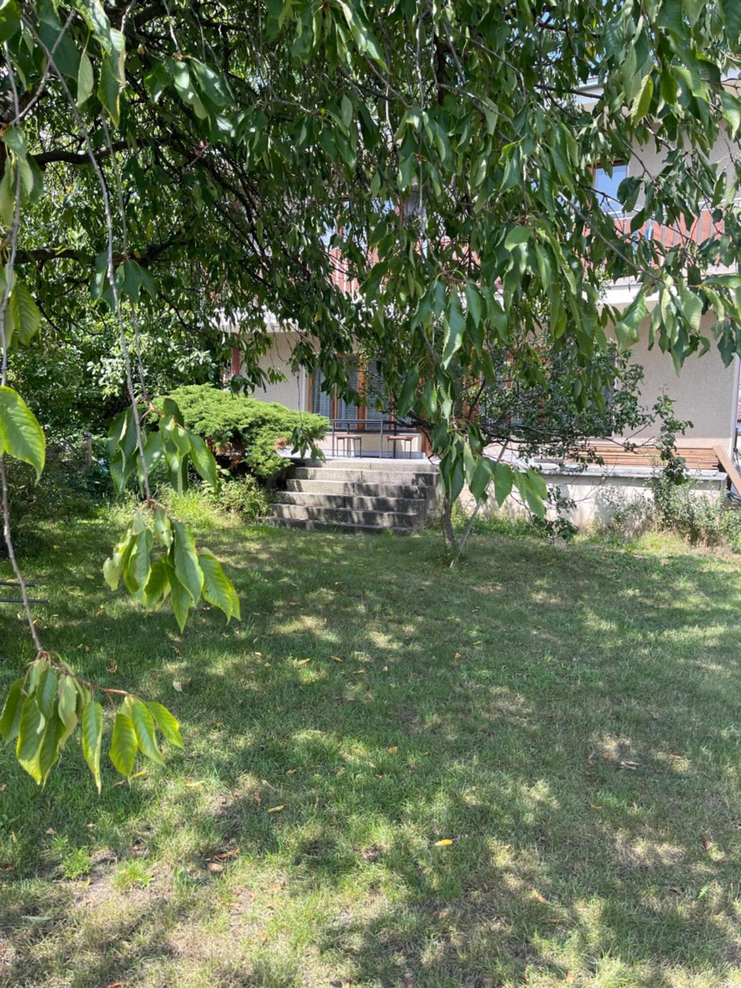 Apartment S Terasou Lysa Lysá nad Labem Exteriör bild